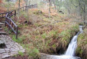 Visita en familia: Conociendo nuestras especies protegidas. Centro de Educación Ambiental Arboreto Luis Ceballos. Actividades medioambientales para niños. Planes para niños. Madrid San Lorenzo de El Escorial