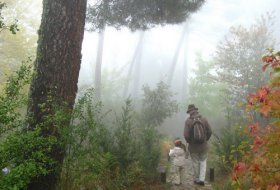 Senda Botánica en el Monte Abantos. Centro de Educación Ambiental Arboreto Luis Ceballos, Sendas 2, Actividades Niños, planes niños, talleres niños, Madrid, San Lorenzo de El Escorial