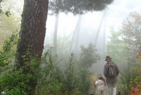 Senda “Paseando por la umbría del Trampalón”. Centro de Educación Ambiental Arboreto Luis Ceballos, Sendas 3, Actividades Niños, planes niños, talleres niños, Madrid, San Lorenzo de El Escorial
