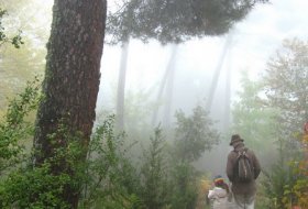 Visita temática “Un bosque de flores”. Centro de Educación Ambiental Arboreto Luis Ceballos, Sendas 3, Actividades Niños, planes niños, talleres niños, Madrid, San Lorenzo de El Escorial