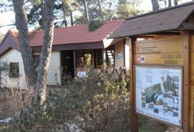 Visita temática “Las entrañas del Arboreto”  . Centro de Educación Ambiental Arboreto Luis Ceballos, Sendas 3, Actividades Niños, planes niños, talleres niños, Madrid, San Lorenzo de El Escorial