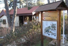 Visita en familia: Museo vivo de especies forestales . Centro de Educación Ambiental Arboreto Luis Ceballos. Actividades para niños. Planes para niños. Madrid San Lorenzo de El Escorial