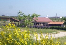 Senda de las especies de Bosque Sur. Centro de Educacion Ambiental Bosque Sur, Actividades Niños, Planes Niños, Talleres Niños, Madrid, Fuenlabrada