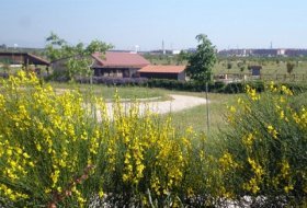 Descubre “La mirada de la noche”. Centro de Educacion Ambiental Bosque Sur, Actividades Niños, Planes Niños, Talleres Niños, Madrid, Fuenlabrada