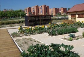 Labores forestales y de huerto “Ven al huerto por San Juan”. Centro de Educacion Ambiental Bosque Sur, Huerto 1, Actividades Niños, Planes Niños, Talleres Niños, Madrid, Fuenlabrada