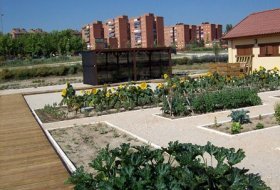 Labores forestales y de huerto “Los olores del verano". Centro de Educacion Ambiental Bosque Sur, Huerto 1,   Actividades Niños, Planes Niños, Talleres Niños, Madrid, Fuenlabrada