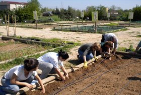 Huerto familiar ecológico “Del huerto a la mesa”. Centro de Educacion Ambiental Caserio de Henares, Taller 3, Actividades Niños, Planes Niños, Talleres Niños, Madrid, San Fernando de Henares.