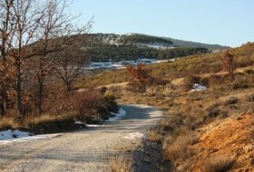 Ecoturismo. Senda “Explorando la naturaleza”. Centro de Educacion Ambiental Sendas 1, Visitas, Actividades Niños, Planes Niños, Talleres Niños, Madrid, El Cuadrón