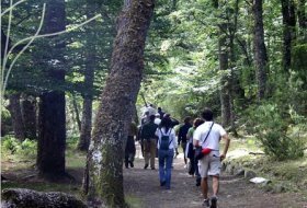 “Itinerarios guiados por el Hayedo de Montejo”. Centro de Educacion Ambiental Hayedo de Montejo, Sendas 1, Actividades Niños, Planes  Niños, Talleres Niños, Madrid, Montejo de la Sierra  