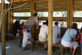 Divulgación y conocimiento “Sámara en Canto Cochino”. Centro de Educacion Ambiental,Manzanares,Taller 3, Actividades Niños, Planes Niños, Talleres Niños, Madrid, Manzanares el Real