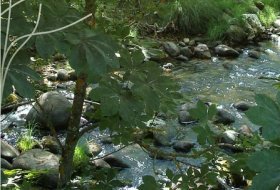 Senda por el Río Lozoya. Centro de Educacion Ambiental Puente del perdón, Sendas 1, Actividades Niños, Planes Niños, Talleres Niños, Madrid, Rascafría