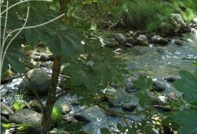 Turismo a tu ritmo “Los bosques planocaducifolios del planeta”. Centro de Educacion Ambiental Puente del perdón, Sendas 1, Actividades Niños, Planes Niños, Talleres Niños, Madrid, Rascafría