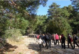 Senda por el Parque Nacional “Sube por la calle alta en el día europeo delos Parques”. Centro de Educación Ambiental Valle de la Fuenfría, Sendas 2, Actividades Niños, Planes Niños, Talleres Niños, Madrid, Cercedilla