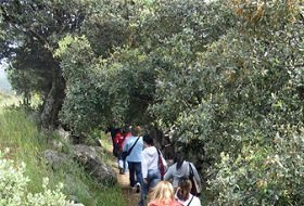 Camina por la comarca “Senda Dehesa de Navalmoral”. Centro de Educacion Ambiental el Águila, Sendas, Actividades Niños, Planes Niños, Talleres Niños, Madrid, Chapineria