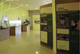 Descubre los productos de la Sierra Oeste. Centro de Educacion Ambiental el Águila, Visitas, Actividades Niños,   Planes Niños, Talleres Niños, Madrid, Chapineria