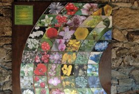 Actividades niños. Taller “Jardín Vertical”. Centro de Educación Ambiental Valle de la Fuenfría