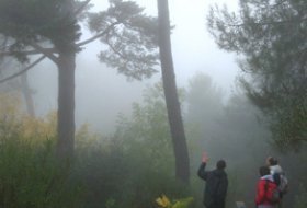 Visita al Huerto del Arboreto. Centro de Educación Ambiental Arboreto Luis Ceballos, Sendas, Actividades Niños, planes niños, talleres niños, Madrid, San Lorenzo de El Escorial