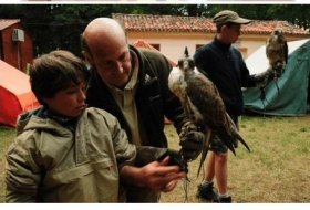 Visita en familia: Cetrería. Museo Nacional De Ciencias Naturales. Actividades para niños. Planes para niños. Madrid