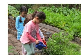 Educación ambiental para niños: Arte y ciencias en el huerto. Museo Universitario de Ciencias y Arte, MUCA Roma. Actividades para niños. Planes para niños. Ciudad de México, DF Cuauhtémoc