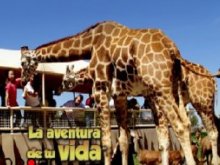 Reino Animal. Actividades para niños. Planes para niños. Talleres infantiles. Visitas familiares. Zona Metropolitana Reino Animal. Actividades para niños. Planes para niños. Talleres infantiles. Visitas familiares. Zona Metropolitana