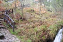 Celebración del día mundial del medio ambiente. “El Arboreto se mueve al FIASGU, en el Escorial”. Centro de Educación Ambiental Arboreto Luis Ceballos, Sendas 2, Actividades Niños, planes niños, talleres niños, Madrid, San Lorenzo de El Escorial