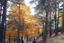  Senda “el agua en Abantos”. Centro de Educación Ambiental Arboreto Luis Ceballos, Sendas, Actividades Niños, planes niños, talleres niños, Madrid, San Lorenzo de El Escorial