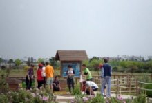 Labores forestales y de huerto “Siembra directa”. Centro de Educacion Ambiental Bosque Sur, Huerto 2, Actividades Niños, Planes Niños, Talleres Niños, Madrid, Fuenlabrada