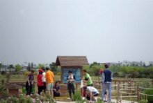 Labores forestales y de huerto “Y después de las flores…". Centro de Educacion Ambiental Bosque Sur, Huerto 2, Actividades Niños, Planes Niños, Talleres Niños, Madrid, Fuenlabrada