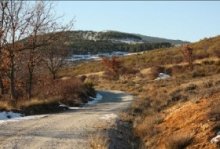 Senda de la vuelta de la reguera. Participación en la II jornada “La vereday la villa”. Centro de Educacion Ambiental El Cuadrón, Sendas 1, Actividades Niños, Planes Niños, Talleres Niños, Madrid, El Cuadrón