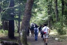 “Itinerarios guiados por el Hayedo de Montejo”. Centro de Educacion Ambiental Hayedo de Montejo, Sendas 1, Actividades Niños, Planes  Niños, Talleres Niños, Madrid, Montejo de la Sierra  