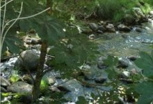 Senda por el Río Lozoya. Centro de Educacion Ambiental Puente del perdón, Sendas 1, Actividades Niños, Planes Niños, Talleres Niños, Madrid, Rascafría