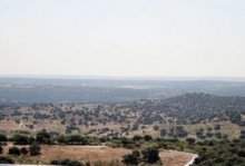 Camina por la comarca “Senda de las Lagunillas”. Centro de Educacion Ambiental el Águila, Actividades Niños, Planes Niños, Talleres Niños, Madrid, Chapineria