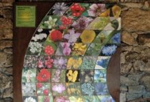 Actividades niños. Taller “Jardín Vertical”. Centro de Educación Ambiental Valle de la Fuenfría