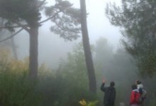 Visita al Huerto del Arboreto. Centro de Educación Ambiental Arboreto Luis Ceballos, Sendas, Actividades Niños, planes niños, talleres niños, Madrid, San Lorenzo de El Escorial