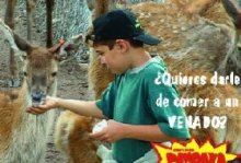Visita en familia: Hacienda Panoaya. Hacienda Panoaya. Actividades para niños. Planes para niños. Zona Metropolitana