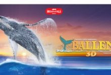 Cine para niños: Ballenas 3D. Papalote Museo del Niño. Actividades para niños. Planes para niños. Ciudad de México, DF Miguel Hidalgo