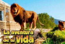 Visita en familia: Reino Animal. Reino Animal. Actividades para niños. Planes para niños. Zona Metropolitana